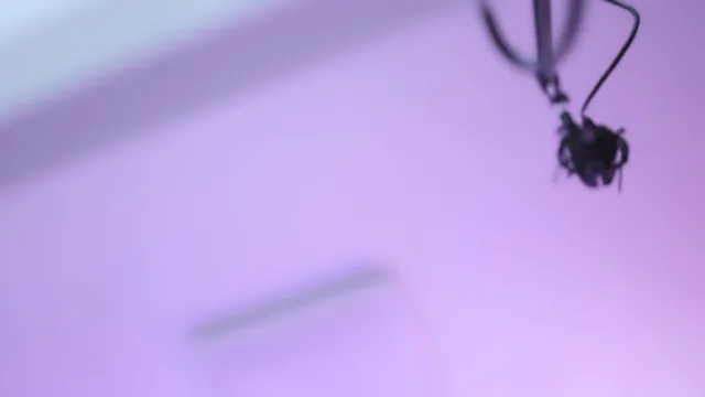 图片[5] - [Korean BJ] aeaei5082 2026-02-18 - KBJFan