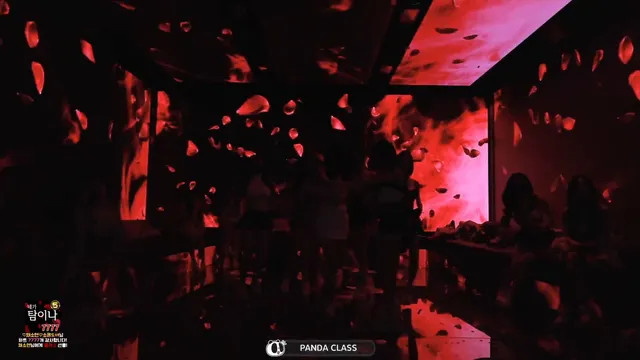 图片[23] - [Korean BJ] pandaclass 2025-12-16 - KBJFan