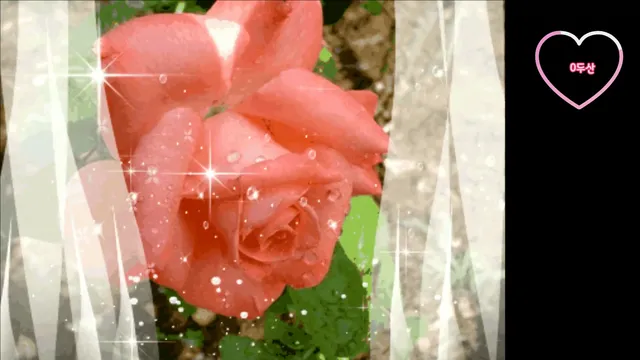 图片[1] - [Korean BJ] chuing77 2025-09-09 - KBJFan