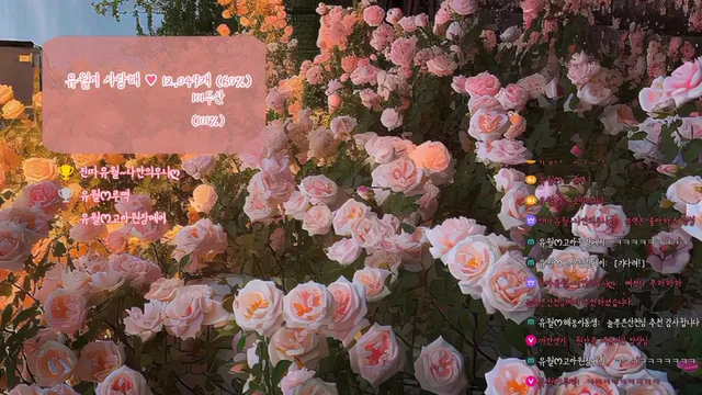 图片[6] - [Korean BJ] yourare 2025-01-26 - KBJFan