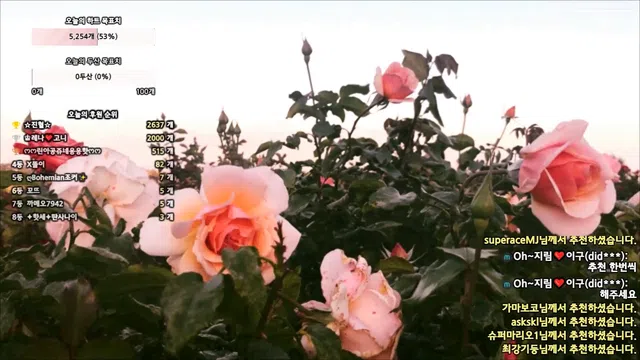 图片[7] - [Korean BJ] 100472 2024-06-25 - KBJFan