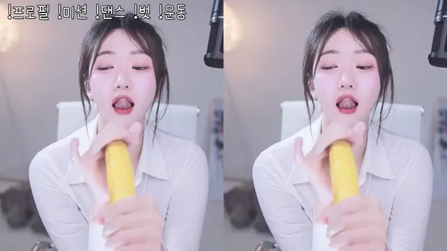 [Korean BJ] gom8212 2026-03-30 - KBJFan