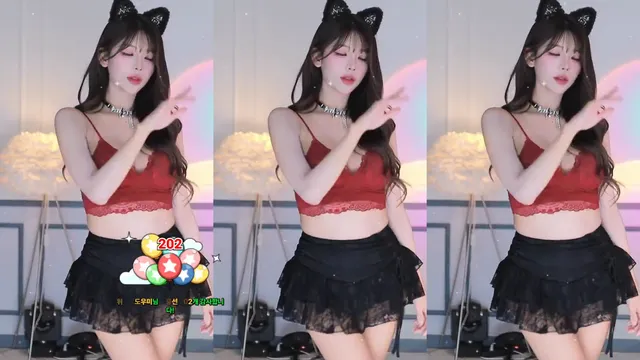 [Korean BJ] dign1461 2025-12-25 - KBJFan