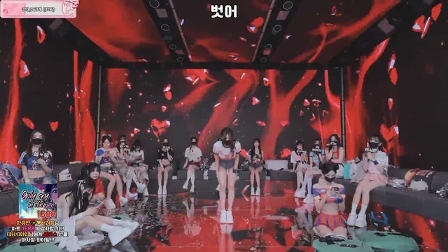 [Korean BJ] pandaclass 2026-06-11 - KBJFan
