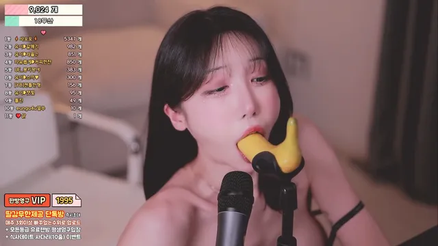 [Korean BJ] howru010 2025-04-08 - KBJFan